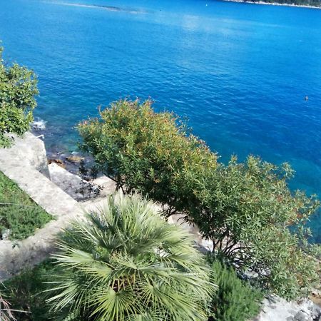 Mljet 4You - Beach House Собра Экстерьер фото
